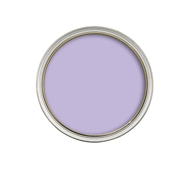 birdseye view paint tin lilac purple