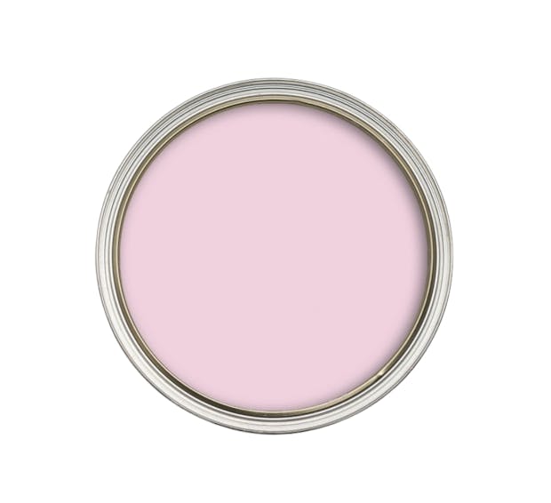 birdseye view paint tin bubblegum pink